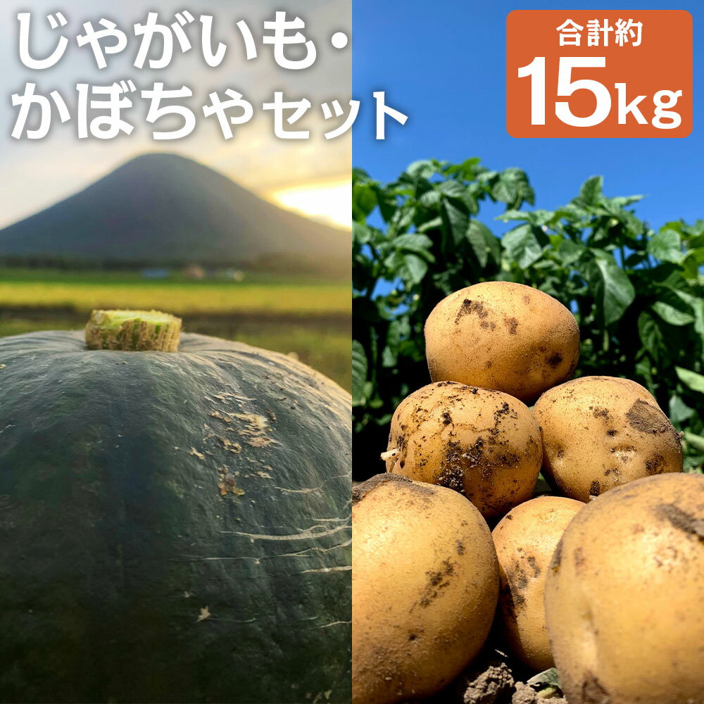 【ふるさと納税】北海道産じゃがいも・かぼちゃセット ブラックのジョー/雪化粧 合計約15kg 選べるかぼちゃの種類 M～2Lサイズ混載 じゃがいも 南瓜 芋 野菜 山田農場 京極町産 北海道産 国産 送料無料【2025年10月上旬～10月下旬に順次発送予定】