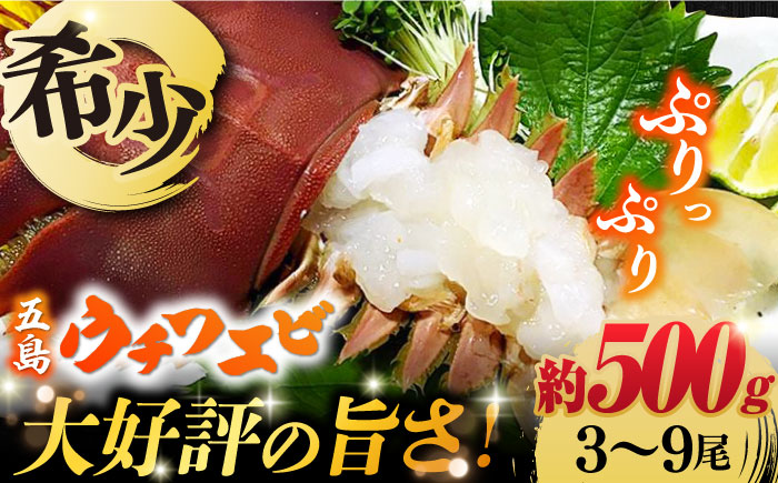 【2025年先行予約】【プリプリ食感と旨み】希少 うちわえび 約500g (3-9尾) ウチワエビ うちわエビ 海老 カニ 五島市/五島FF [PBJ011]