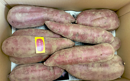 甘さ引き出す 熟成紅はるか 5kg さつまいも L～LLサイズ サツマイモ さつま芋 甘い おやつ 食品  F21T-472