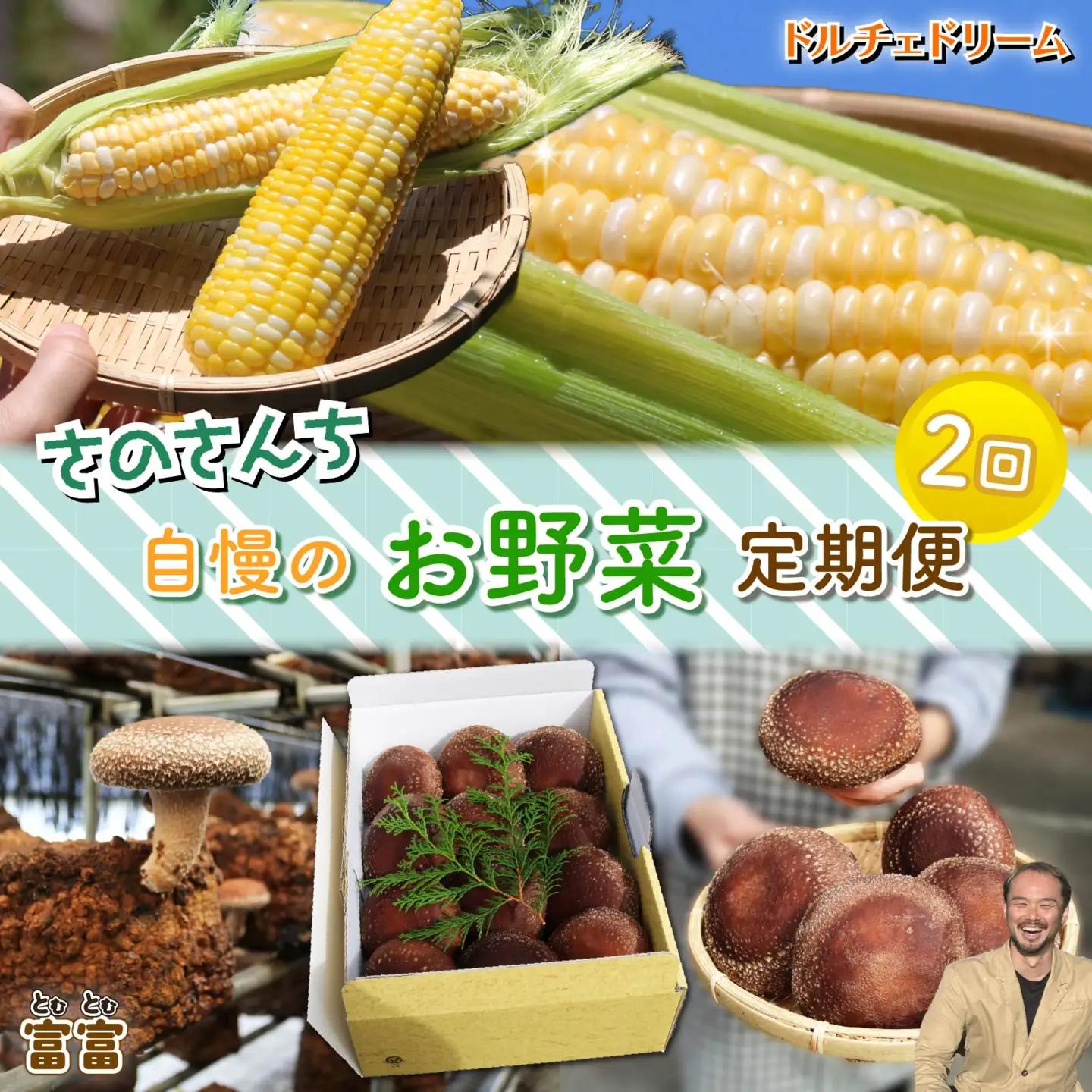 野菜【 全2回 定期便 】 野菜 とうもろこし しいたけ JGAP 先行予約