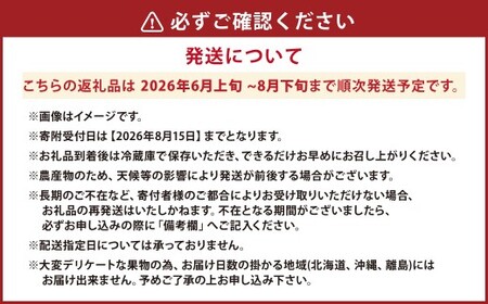 ハウスイチジク 約2kg （約250g×8パック）【2026年6月上旬発送開始】 果物 フルーツ いちじく イチジク 旬 旬の果物 旬のフルーツ 熊本県 合同会社宝ファーム