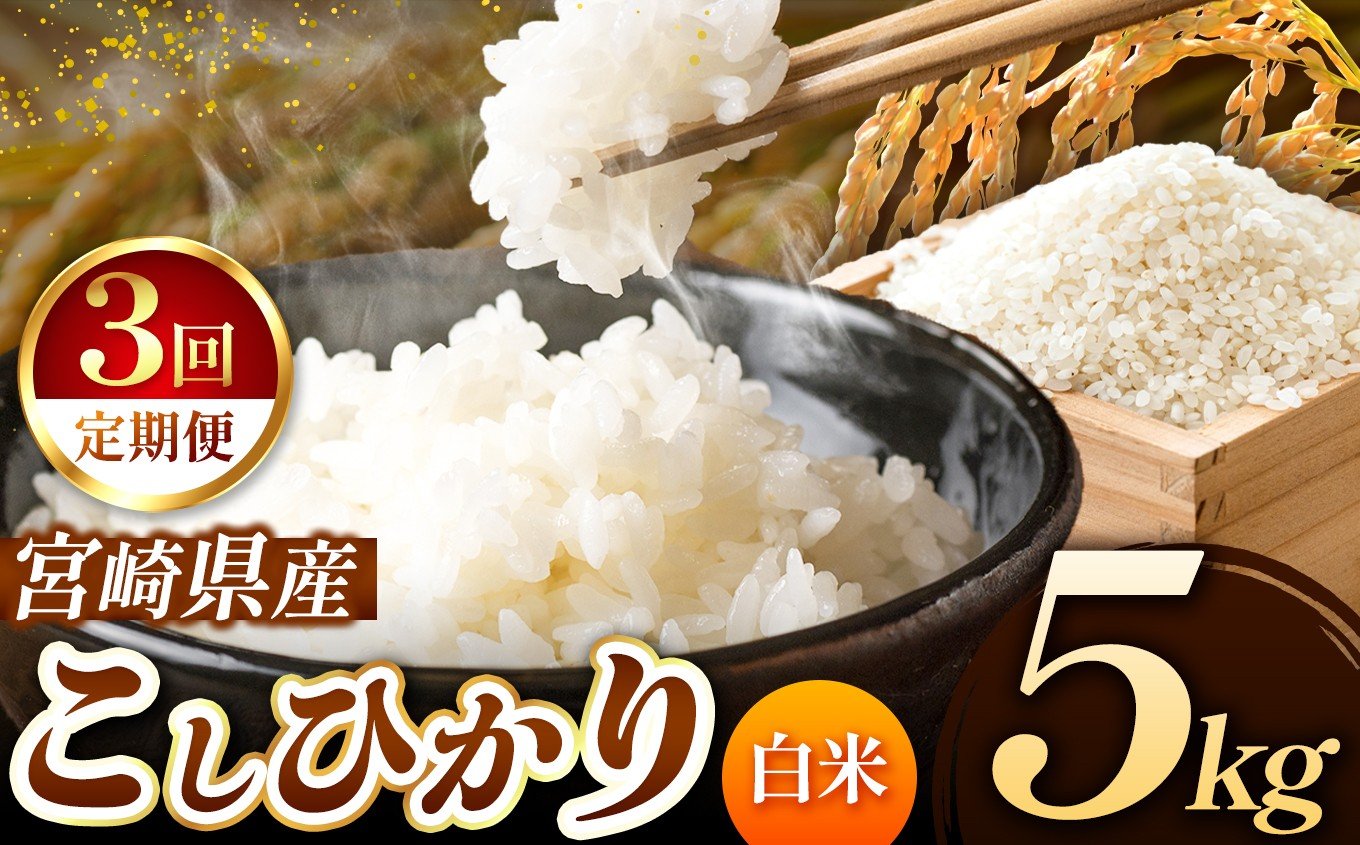 
            【 定期便３回 】令和7年産 こしひかり 5kg （ 白米 ） 宮崎県産 | 米 こめ お米 おこめ 精米 白米 宮崎県 五ヶ瀬町
          