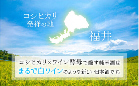 【日本酒】PURE RICE WINE 720㎖×2本（純米ワイン）【新感覚！ワインのような日本酒】【ワイン 飲料 甘酸っぱい お酒 純米酒 こしひかり 白ワインタイプ ピュアライスワイン】[A-00