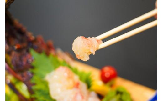 産地直送！＜生＞ 伊勢海老 ( レシピ付き ) 1.2kg 1200g
