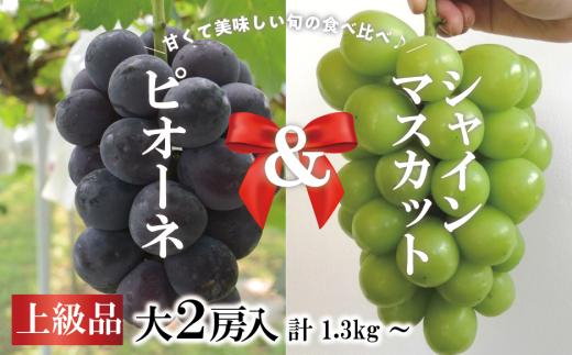 【2026年先行予約】ピオーネ＆シャインマスカット 上級品 特大2房 /計1.3kg～  (岡山県産) 【KF-B087-02】