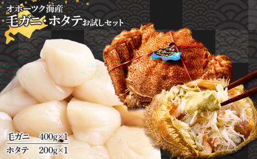 ほたて 貝柱 毛蟹・ホタテのお試しセット 冷凍 おかず おつまみ 詰め合わせ《横田水産》