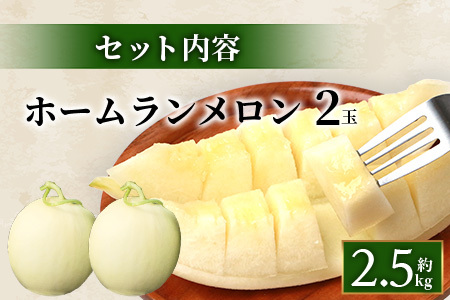 【2025年4月中旬発送開始】熊本県産 ホームランメロン 2玉 約2.5kg以上 メロン ホームラン めろん フルーツ 果物 くだもの 果実 旬 旬の果物 旬のフルーツ 熊本県 熊本 多良木町 メロン