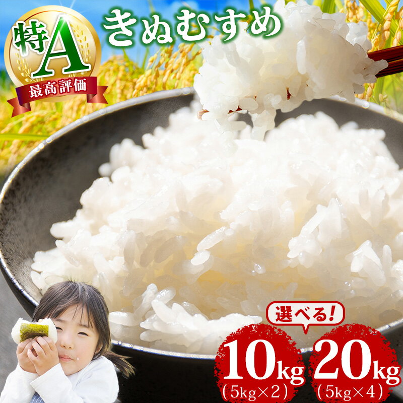 【ふるさと納税】 令和6年産 岡山県産 「 きぬむすめ 」米 選べる 10kg ～ 20kg 楽天限定 F3-4 【岡山県勝央町】