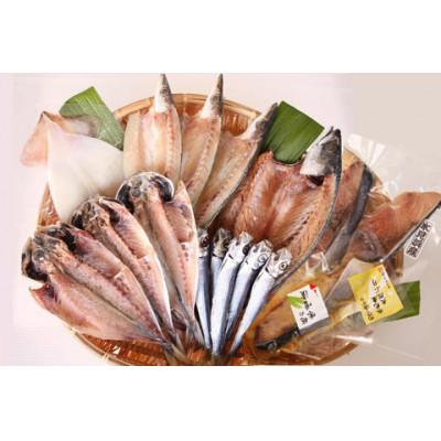 ふるさと納税 氷見市 氷見 堀与おすすめ一夜干5種と氷見鰤2種