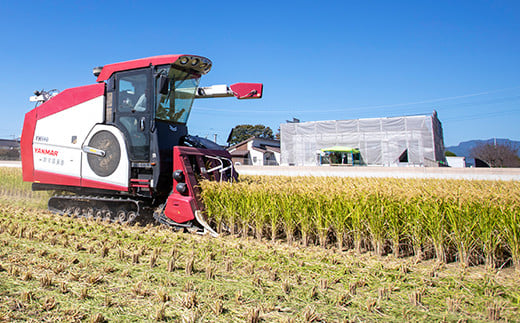 【通常パッケージ】〈令和7年産〉七城物語 高野さんちの自然栽培米 玄米 2kg 熊本県菊池産 ヒノヒカリ 計2kg 七城物語 高野さんちの自然栽培米 《30日以内に出荷予定(土日祝除く)》
