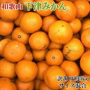 【ふるさと納税】【訳あり】和歌山下津みかん約5kgご家庭用向け(サイズ混合) ★2025年11月中旬から2026年1月下旬頃順次発送［TM77］ | フルーツ 果物 くだもの 食品 人気 おすすめ 送料無料