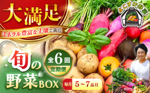 【全6回定期便】すずなり採れたて野菜BOX　(5～7品）【鈴也ファーム】 [AKCE012]