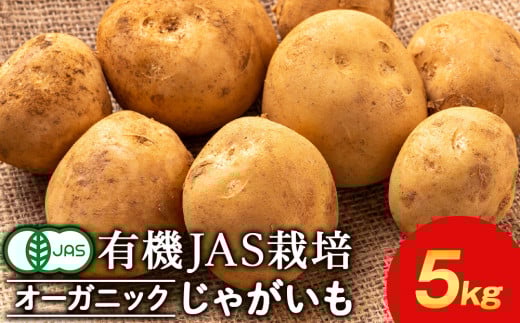 【2025年秋発送】 有機ジャガイモ 5kg 《 たかのふぁーむ 》 いも 芋 じゃがいも 野菜 有機 北海道 積丹