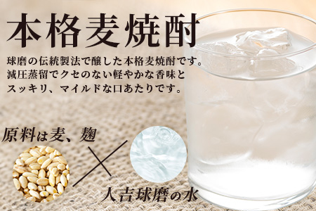 球磨焼酎【麦一石】4L エコペット 25度 麦焼酎 蔵元直送 4000ml 酒 焼酎 本格焼酎 大容量 熊本 球磨 球磨焼酎 多良木町 040-0586