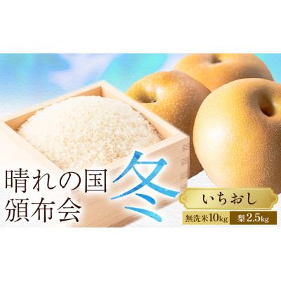 ふるさと納税 笠岡市 晴れの国頒布会 冬 いちおし 無洗米 10kg 梨 2.5kg