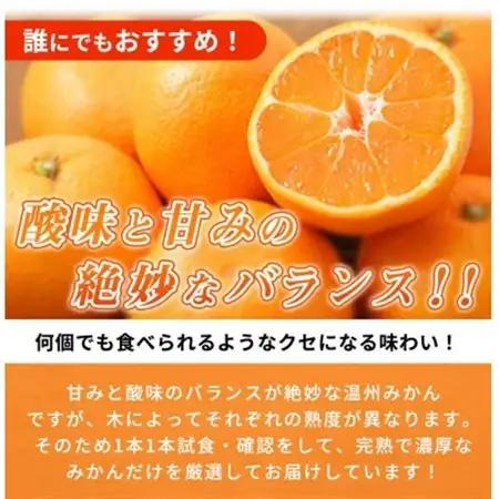 【2026年11月下旬より発送】完熟有田みかん　10kg【日高町】【1216968】