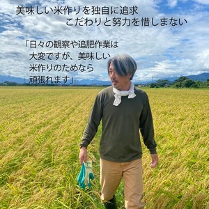 【4月下旬発送】令和7年産 上越市産 コシヒカリ 5kg 5キロ 精米 新潟県 上越市 板倉区 コメランド こしひかり 限定 おすすめ 米 コメ