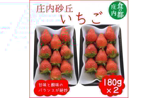 食の都庄内　庄内砂丘のいちご2パック（2L～L）やや小粒も含む※令和8年1月中旬頃より順次配送