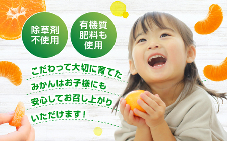 AA216.いわくま果樹園から直送品の温州みかん（約5kg）／2026年9月下旬～2027年1月下旬発送予定★予約分★
