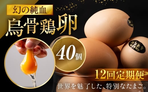 【定期便 12ヶ月】烏骨鶏卵 モールド 40個セット (10個入 × 4パック) たまご 卵 玉子 鶏 高級 高級卵