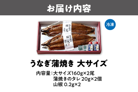 【 堀忠 】「なにわの名工」炭火手焼き鰻 堀忠うなぎ大2尾│ 鰻 高級鰻 贅沢鰻 本格鰻_OS157-0001