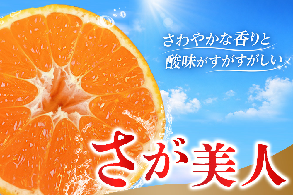 【2026年10月上旬より発送開始】佐賀美人(みかん) 4kg S～2Lサイズ【みかん ブランドみかん 柑橘 酸味 フルーツ デザート】(H116142)
