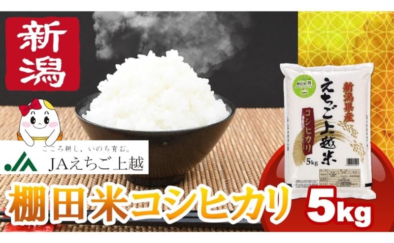 
            【4月下旬配送】令和7年産 新米 えちご上越米 棚田米 コシヒカリ 5kg 5キロ 上越市 精米 米 コメ おすすめ
          