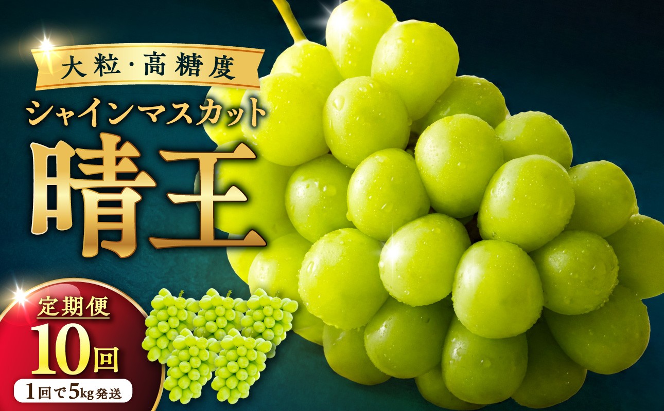 
                  【定期便】岡山県産シャインマスカット「晴王」　秀品　大房（約5kg・5～9房目安）×10回発送【シャインマスカット シャイン マスカット 晴王 フルーツ 果物 くだもの 葡萄 ぶどう 岡山県産 秀品 大房 種無し 高糖度 先行受付 先行予約】
                