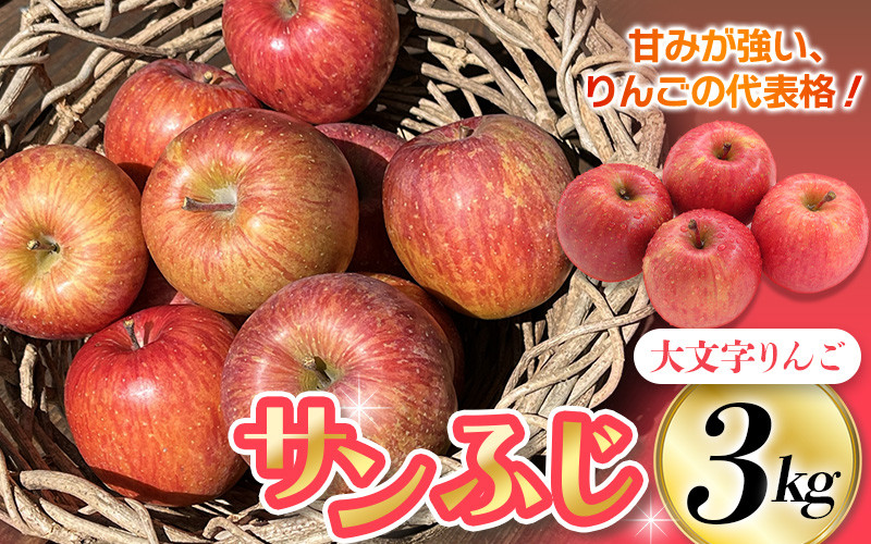 
【令和6年度分予約受付】大文字りんご園 サンふじ 約3kg (7～10玉) 【2024年12月上旬より順次発送】/ 樹上完熟 りんご リンゴ 林檎 果物 くだもの フルーツ 甘い 旬 産地直送 予約 先行予約
