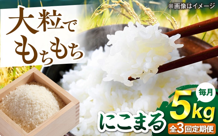 
                  【全3回定期便】 にこまる 玄米品質1等米 白米 5kg 糸島市産 糸島市 / 糸島の恵み コメ こめ ご飯 [AGR008]
                