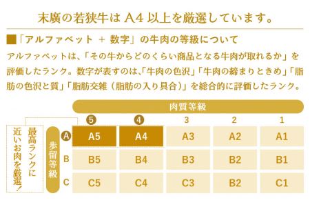 牛肉 若狭牛 ステーキ 計800g（200g × 4枚）福井県産 和牛サーロインステーキ A4等級 以上を厳選！【高級 黒毛和牛】 [e02-e001]