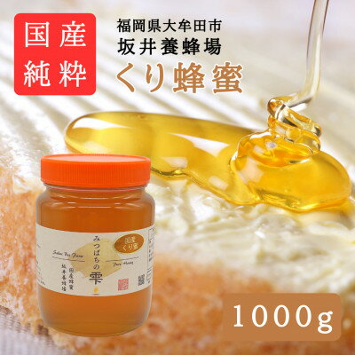 【ふるさと納税】みつばちの雫　国産くり蜂蜜　1000g【1481078】