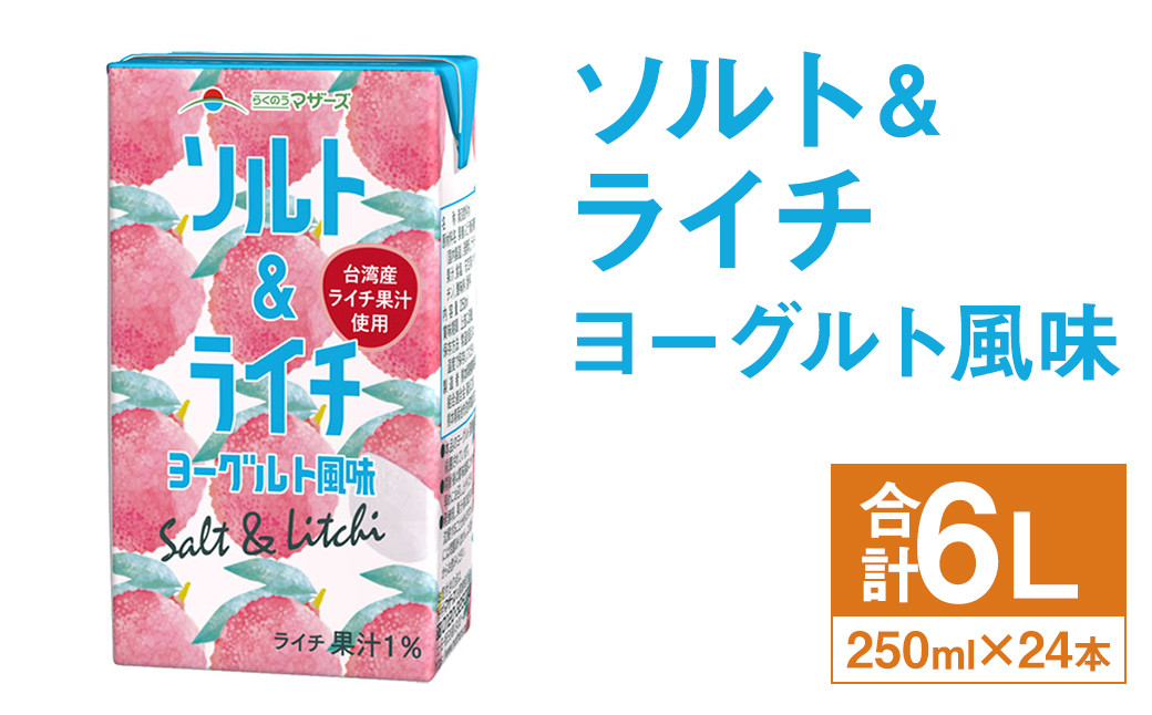 ソルト＆ライチ ヨーグルト風味 250ml×24本
