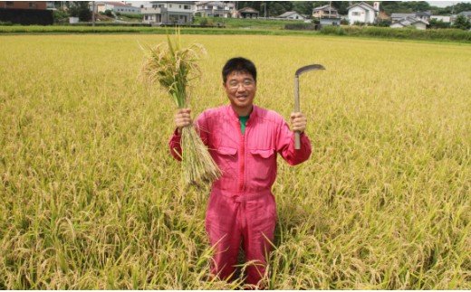 【7日程度で発送】新米 令和7年産 コシヒカリ 土佐の米 よさこい舞 5kg - 送料無料 こしひかり 米 コメ おこめ 白ご飯 ごはん おにぎり 一人暮らし ひとりぐらし 贈り物 ギフト 贈答 早い
