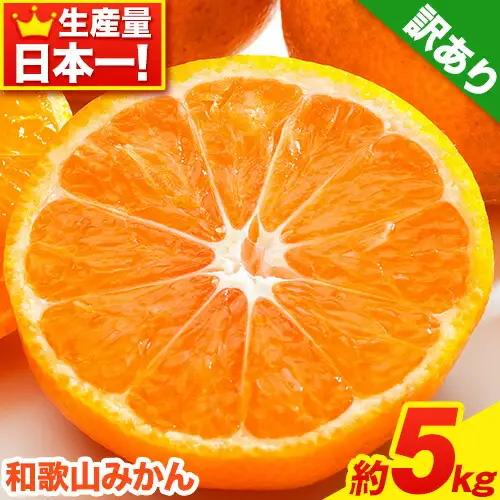 みかん 訳ありみかん 約5kg 2026年出荷
