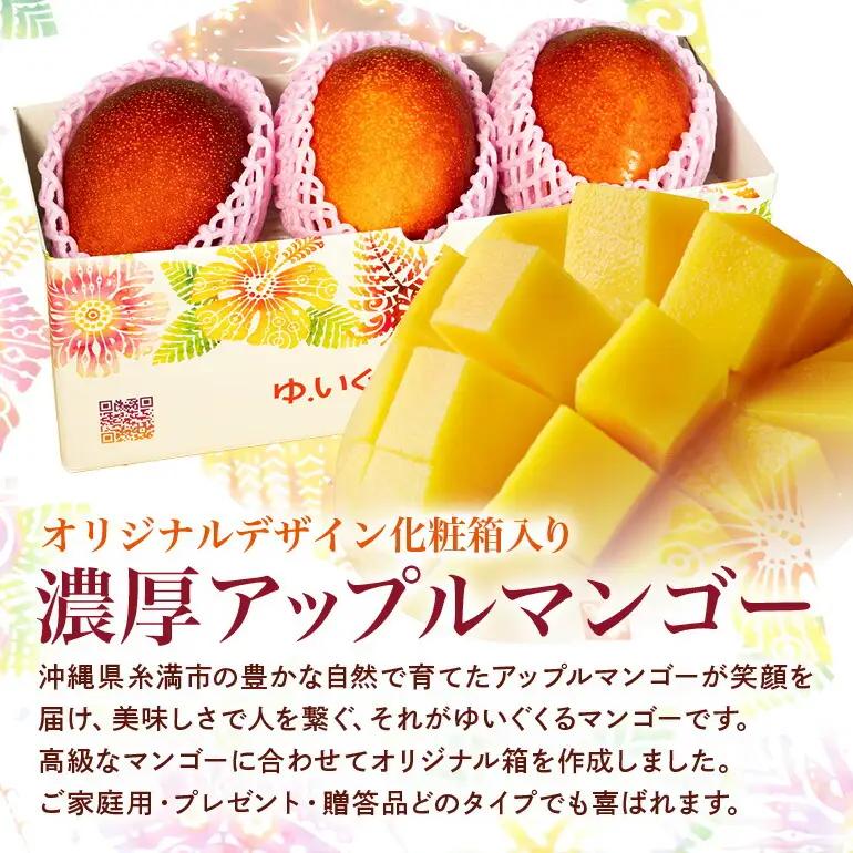 【 先行予約 2027年 発送 】 沖縄県 糸満産の「 濃厚 アップルマンゴー 」1kg オリジナル 贈答用 化粧箱入り 沖縄県産 マンゴー 完熟マンゴー 果物 くだもの フルーツ 完熟 夏 旬 沖縄