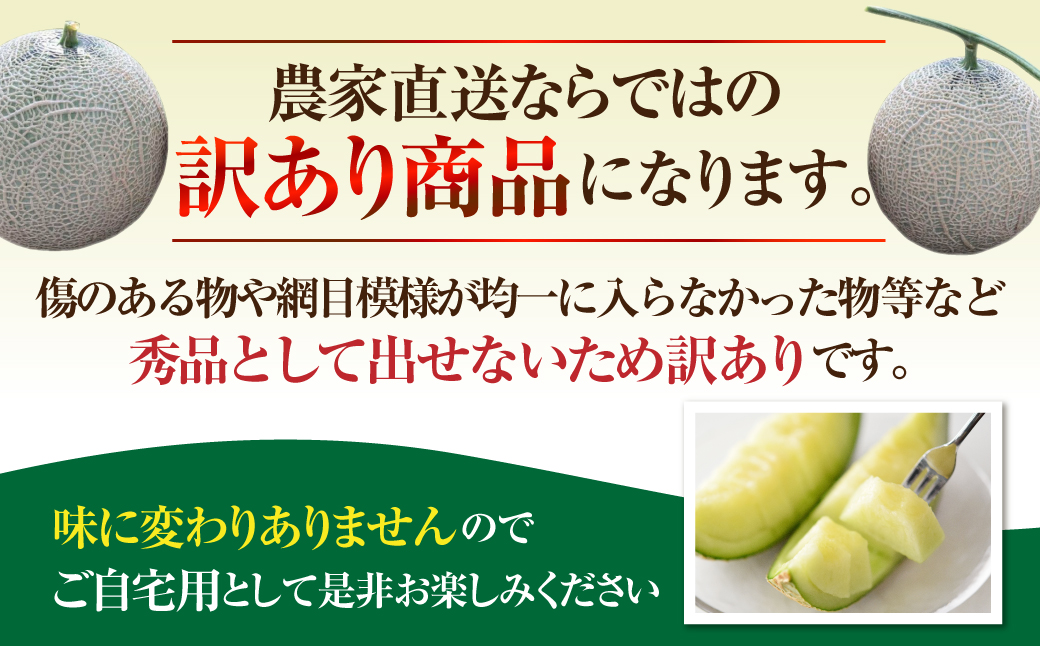 先行予約 訳あり マスクメロン L〜2L 2玉 メロン 野菜ソムリエ推薦 数量限定 渥美半島 伊良湖潮風育ち  田原市 ご自宅用 お取り寄せ 産地直送 送料無料