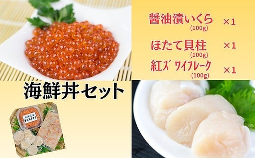 
            A-66003【12/10まで年内配送】 【北海道根室産】海鮮丼セット
          