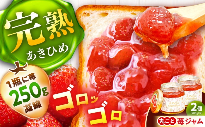 
            丸ごと苺のゴロッとジャム / ジャム いちごジャム いちご 苺 あきひめ 国産 イチゴジャム ジャム 栄養 効果 美味しい 瓶詰め ギフト 贈答 プレゼント パン トースト 朝食 ヨーグルト アレンジ / 恵那市 / 阿部農園 [AUGA006]
          