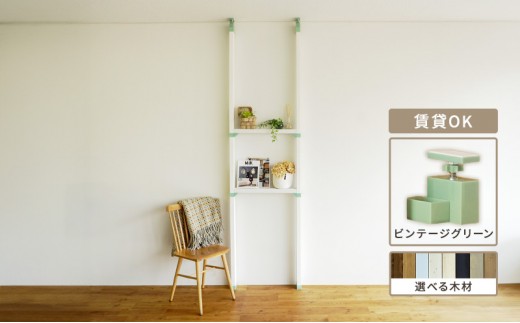 [№5258-7807]LABRICO棚セットS　アジャスター：ヴィンテージグリーン×ステインブラック