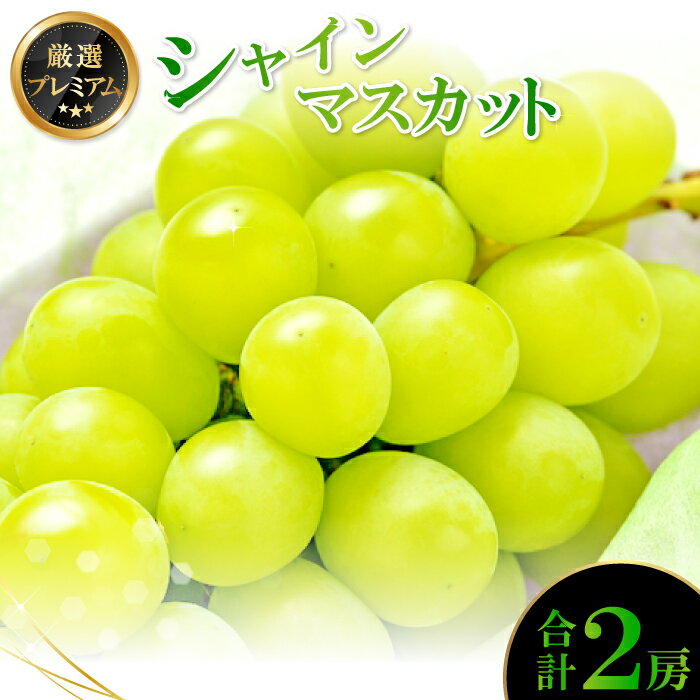 【ふるさと納税】 シャインマスカット 2房 種無し 皮ごと食べられる 果物 フルーツ ぶどう ブドウ マスカット 新鮮 甘い 大粒 大きい 先行予約 季節限定 期間限定 冷蔵 特産品 お取り寄せ グルメ
