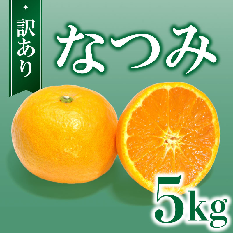 
            訳あり なつみ 5kg 柑橘 愛媛産 フルーツ 産地直送 ご家庭用 ワケあり 訳アリ 規格外 甘い ジューシー 新鮮 果物セット みかん お取り寄せグルメ 通販 人気 果物 フルーツセット 国産 柑橘類 食品 自宅用 冬の果物 セール ビタミンC フレッシュ 愛媛 旬 期間限定 送料無料 ご自宅用 安い 大容量 食べきりサイズ 家庭用フルーツ 傷あり 果実 愛媛県 愛南町 ひなたのみかん
          