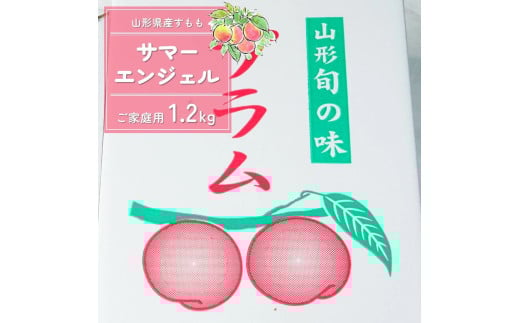 すもも（サマーエンジェル）１.２ｋｇ　ご家庭用　0012-2505