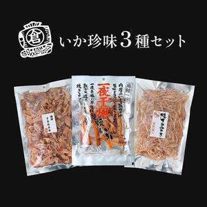 いか珍味３種セット【おつまみ ギフトセット プレゼント つまみセット ギフト 人気 珍味 種類豊富 バラエティ  贈り物 贈答 手土産 酒の肴】
