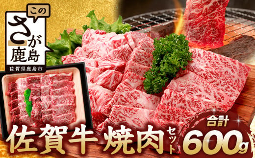 【3月配送】佐賀牛 焼肉セット 600g BBQ バーベキュー 焼き肉 バラ モモ D-191