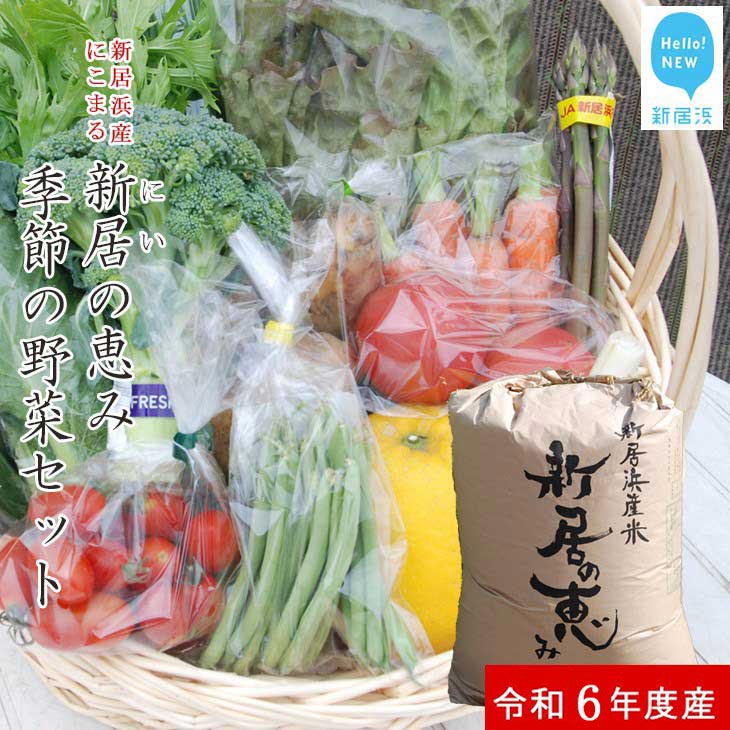 白米 新米 えひめ未来農業協同組合 ブランド米 「新居の恵み （にこまる） 令和6年度産」 5kg と 季節の野菜 約2kg セット （クール便でお届け）