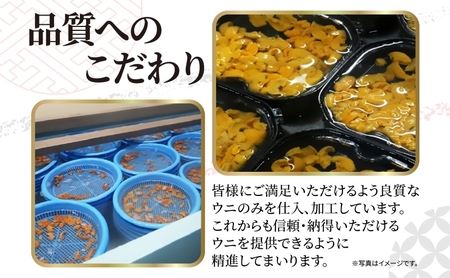 うに ロシア産 バフンウニ 塩水パック 100g×2 ウニ