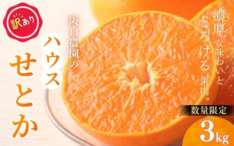 せとか 訳あり 阪口農園のハウスせとか 3㎏【msa011】