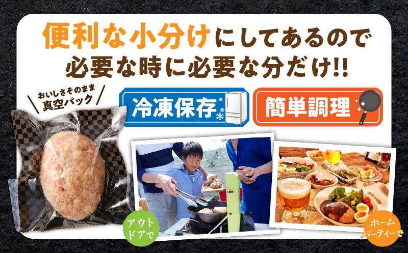 宮崎県産豚プレミアムハンバーグ(計8個) 肉 豚肉 加工品 惣菜 国産_T001-0091