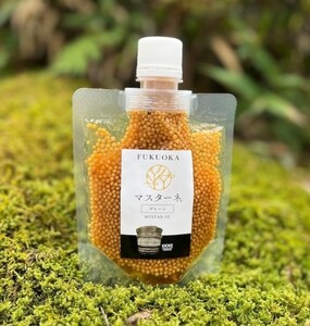 調味料 マスタード 5本 セット マスターネ。 プレーン 醤油 ブルーベリー 木桶醤油 木桶プレーン 各120g パウチ 食べ比べ ※配送不可:離島 